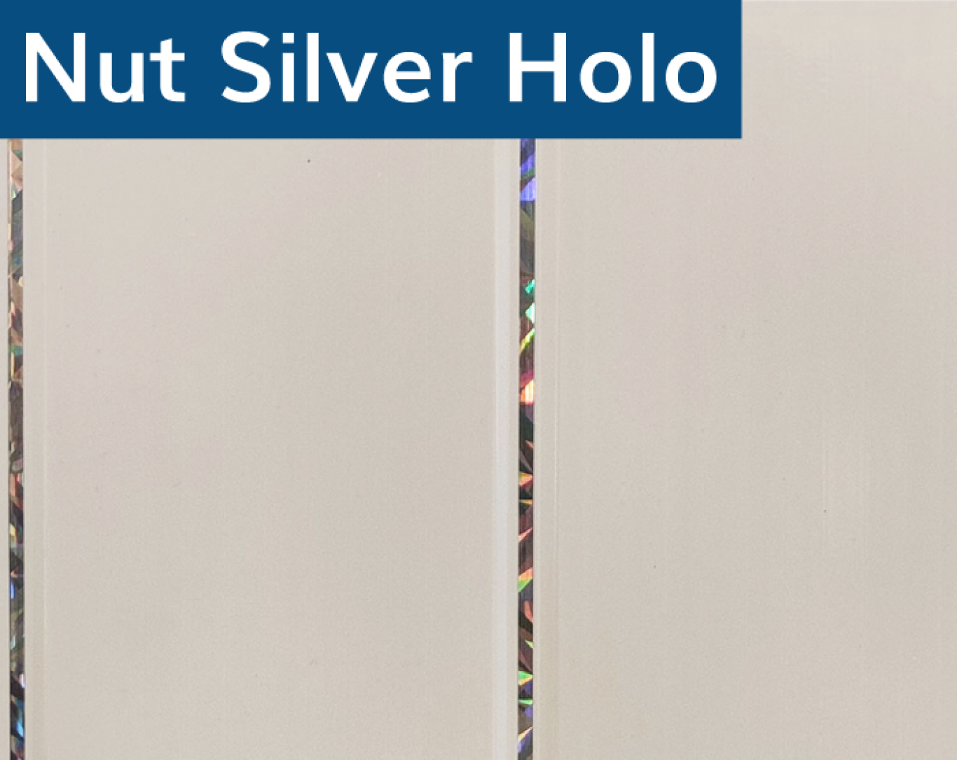 NUT SILVER HOLO
